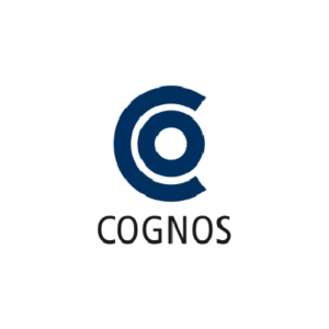 Cognos_slide